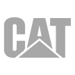 cat-logo 1